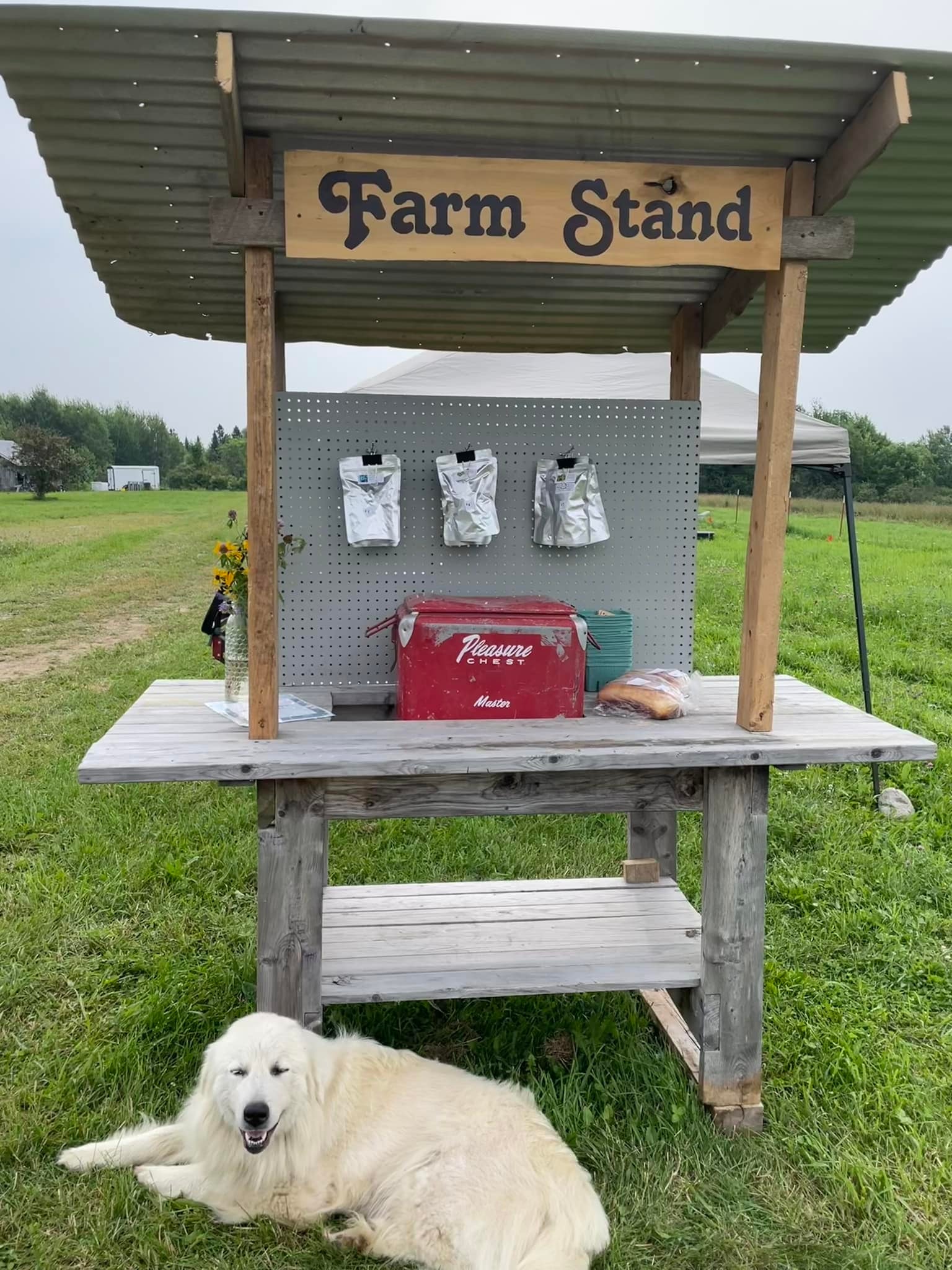 Away Acres farm stand in Island Falls, Maine