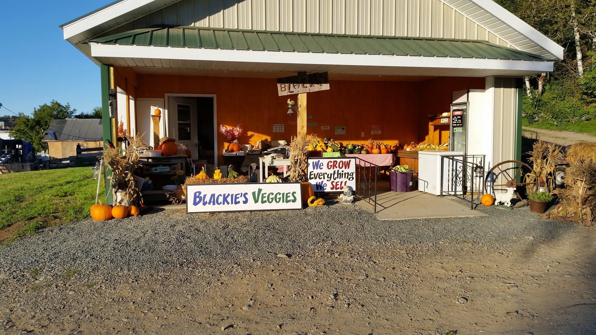 Blackie's Veggies storefront with a seasonal produce display in Florenceville-Bristol, New Brunswick