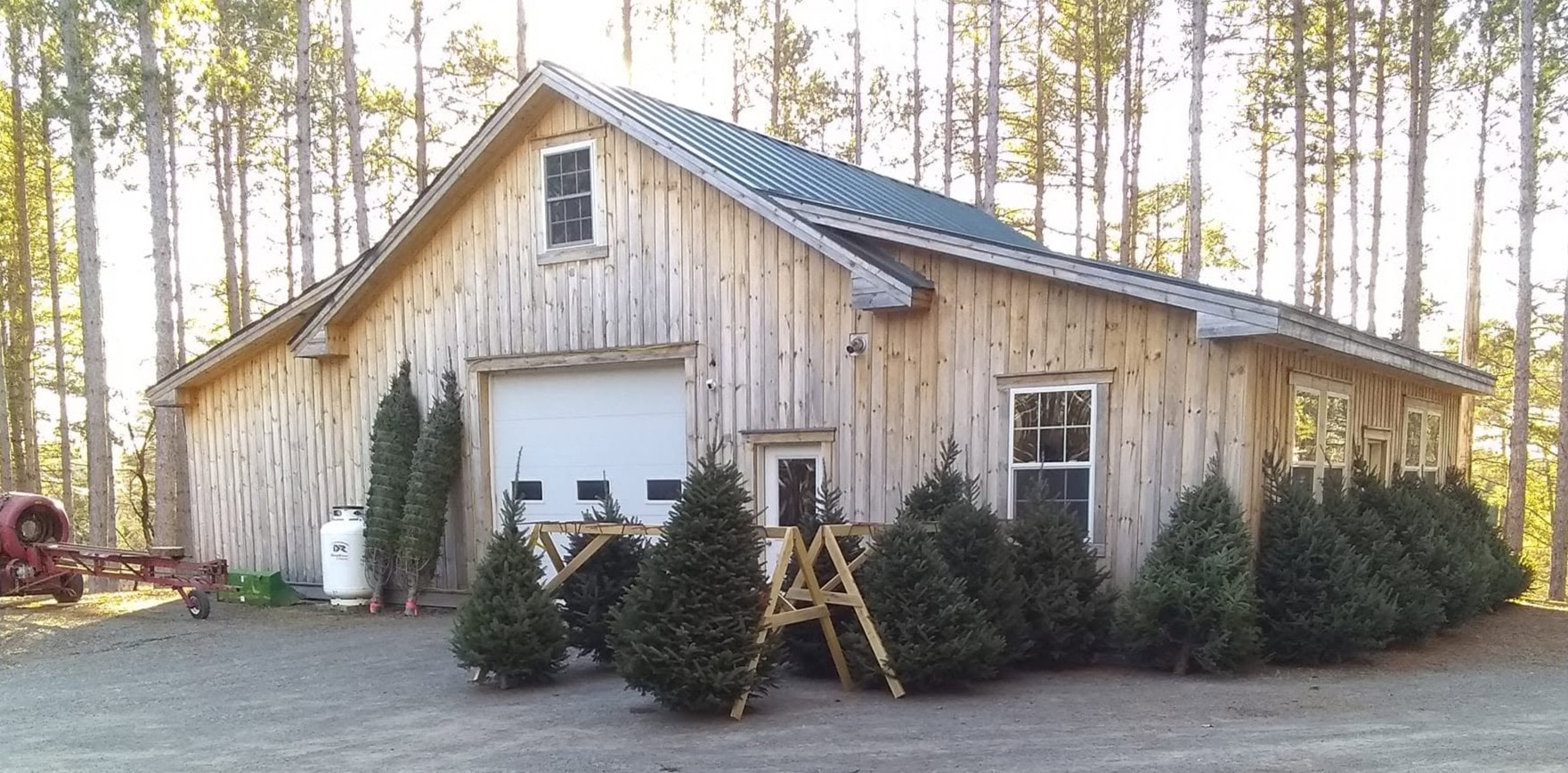 Callnan Family Christmas Trees rustic farm building with Fraser and balsam fir trees in Houlton, Maine