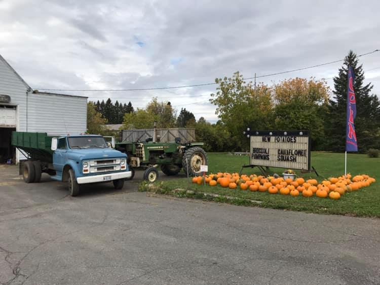 Dale Bradbury Farm stand with pumpkins, a blue farm truck and tractor in Bridgewater, Maine