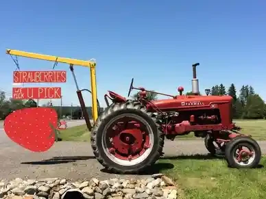 Folsom Farms strawberry pick-your-own sign beside a red tractor in Monticello, Maine