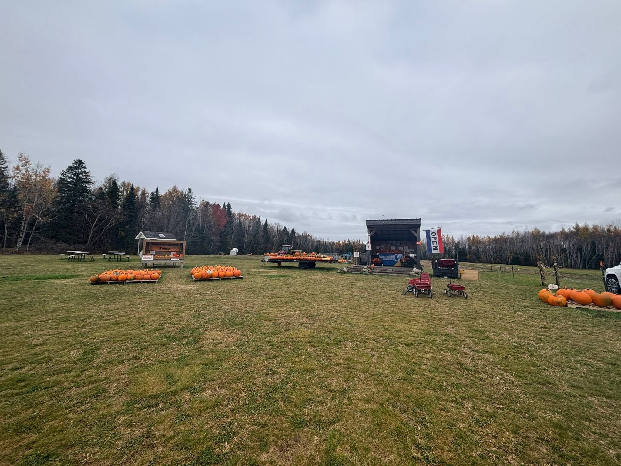 James' Pumpkin Stand in Mapleton with pumpkins, picnic tables, and a wooded fall setting