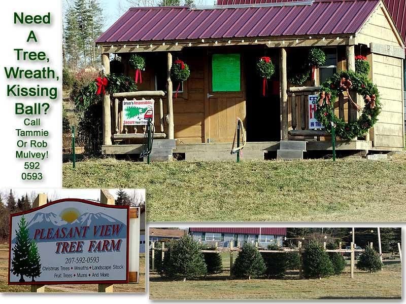 Pleasant View Tree Farm stand, sign, and Christmas tree field in Hodgdon, Maine