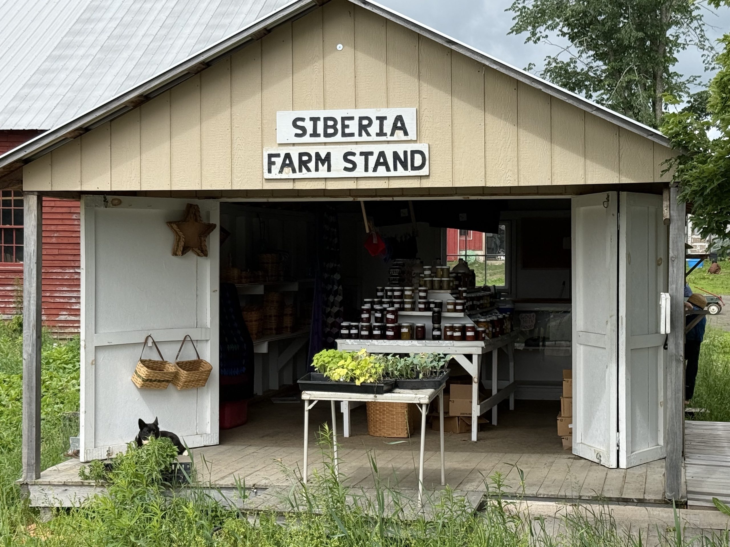 Siberia Farm Stand storefront in Stacyville, Maine