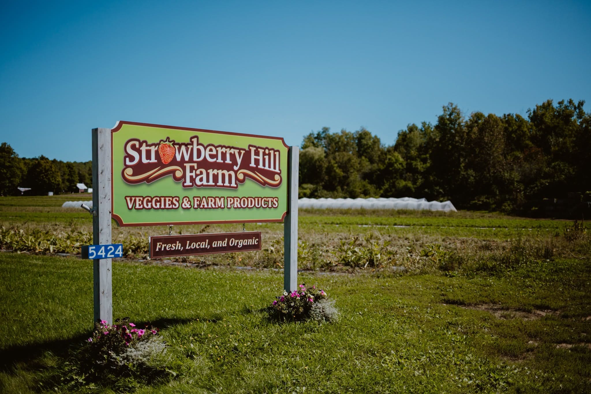 Strawberry Hill Farm roadside sign in Pembroke, New Brunswick