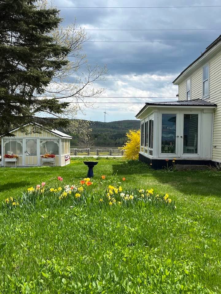 Wind Angel Garlic Farmstead property with main house, guest cottage, spring tulips and daffodils, and scenic ridge views in Oakfield, Maine